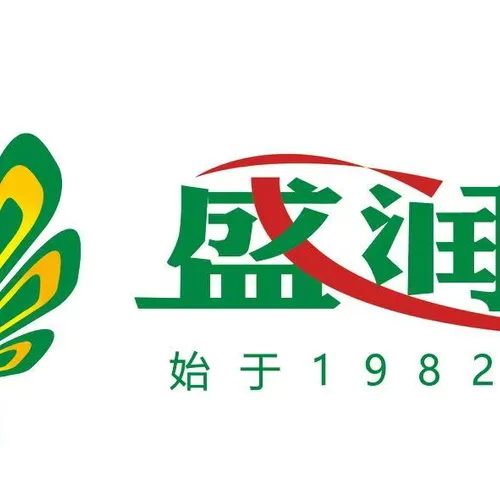 山东盛润汽车有限公司