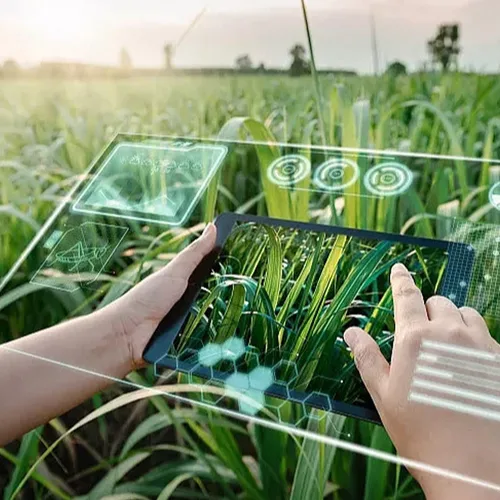 La agricultura de precisión está dando sus frutos: nuevos datos revelan las cifras que respaldan esta afirmación.