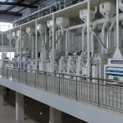 MCTP30-300tons se reis complete set of Milling Rice Equipment