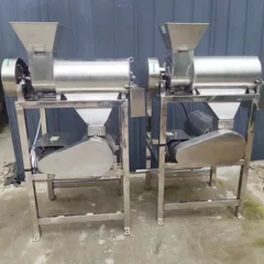 Industrial Fruit Beater | Pitting Peeling & Pulp Residue Separation Machine