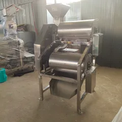 Industrial Fruit Beater | Pitting Peeling & Pulp Residue Separation Machine
