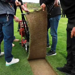 Walk-Behind Sod Cutter / Turf Harvester (Gasoline Powered, Auto-Cut, for Park Lawn Transplanting)