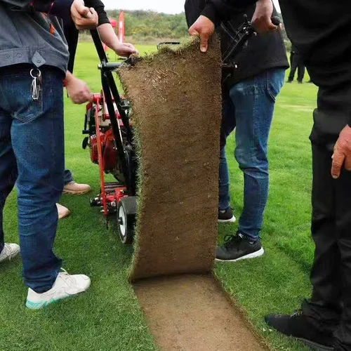 Walk-Behind Sod Cutter / Turf Harvester (Gasoline Powered, Auto-Cut, for Park Lawn Transplanting)
