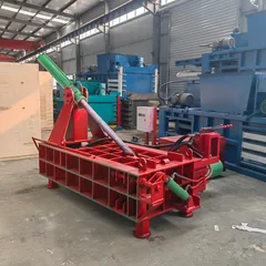Factory promotion of new small metal briquetting machine