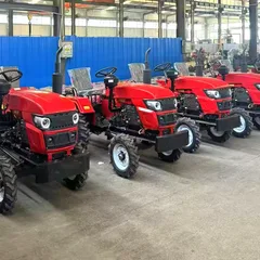 Kubota 25HP EPA Diesel Mini Crawler Skid Steer Loader – Lander with PLC Hydraulic System & 0.2CBM Bucket, Ideal for Earth-moving & Wholesale