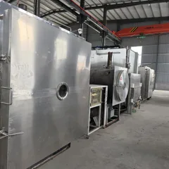 0.5-60㎡ Vacuum Freeze Dryer Food & Pharmaceutical Freeze Drying Equipment