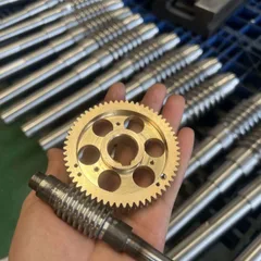 Precision Double Lead Worm Gear Set, Zero Backlash, For CNC Rotary Table 4th Axis