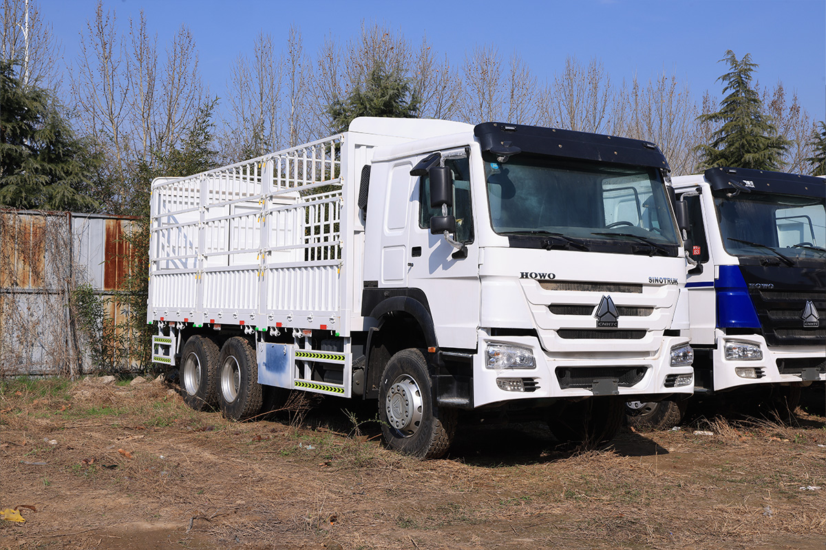 Howo 6×4 高边板货车，配备全新笼式货箱，适用于农业及散装货物运输