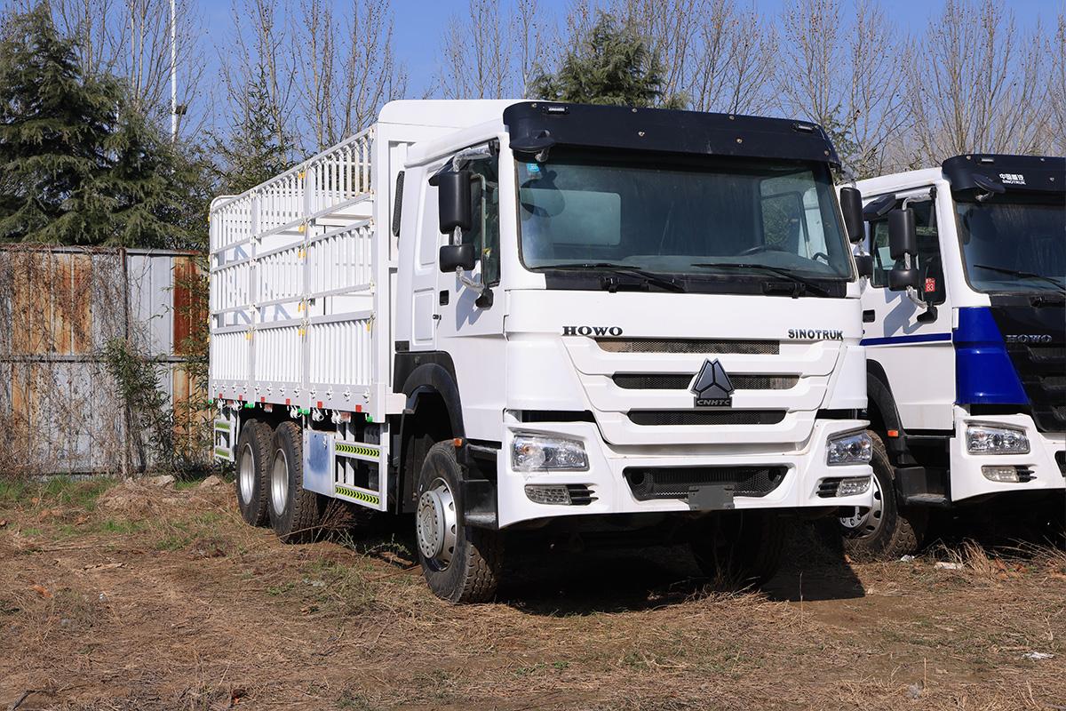Sinotruk Howo 6×4 Stake Truck, 371HP Engine, New Cage Body, For Heavy Cargo Transportation