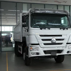 Sinotruk Howo 6×4 Dump Truck, 371HP Sinotruk Engine, Construction Muck Hauler