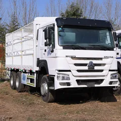 Sinotruk Howo 6×4 Stake Truck, 371HP Engine, New Cage Body, For Heavy Cargo Transportation