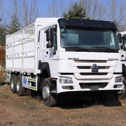 Sinotruk Howo 6×4 Stake Truck, 371HP Engine, New Cage Body, For Heavy Cargo Transportation