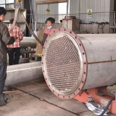 New Stainless Steel Tubular Condenser, Cooling Condensation/Waste Heat Recovery, Customized