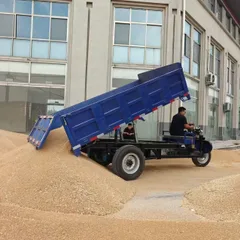 农业用电动倾卸三轮车，3000瓦重型电机，适用于粮食和建筑材料运输