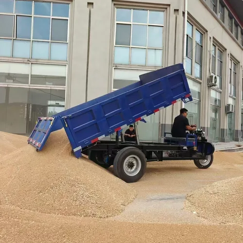 农业用电动倾卸三轮车，3000瓦重型电机，适用于粮食和建筑材料运输