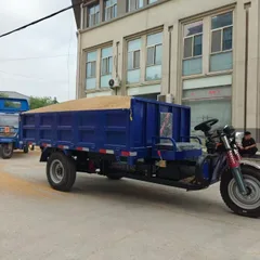 农业用电动倾卸三轮车，3000瓦重型电机，适用于粮食和建筑材料运输