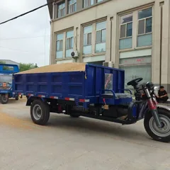 农业用电动倾卸三轮车，3000瓦重型电机，适用于粮食和建筑材料运输