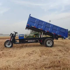 农业用电动倾卸三轮车，3000瓦重型电机，适用于粮食和建筑材料运输