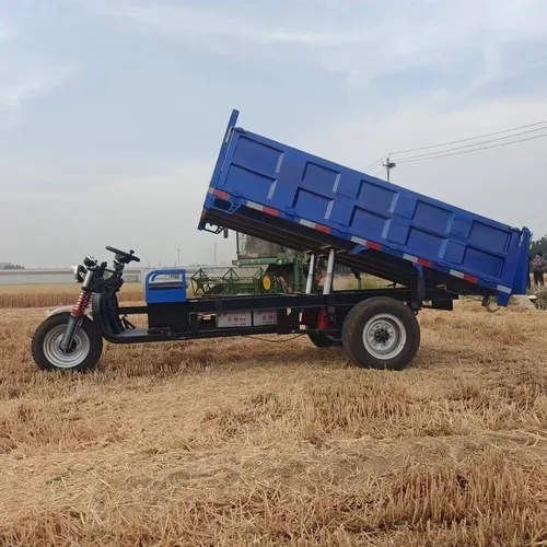 农业用电动倾卸三轮车，3000瓦重型电机，适用于粮食和建筑材料运输
