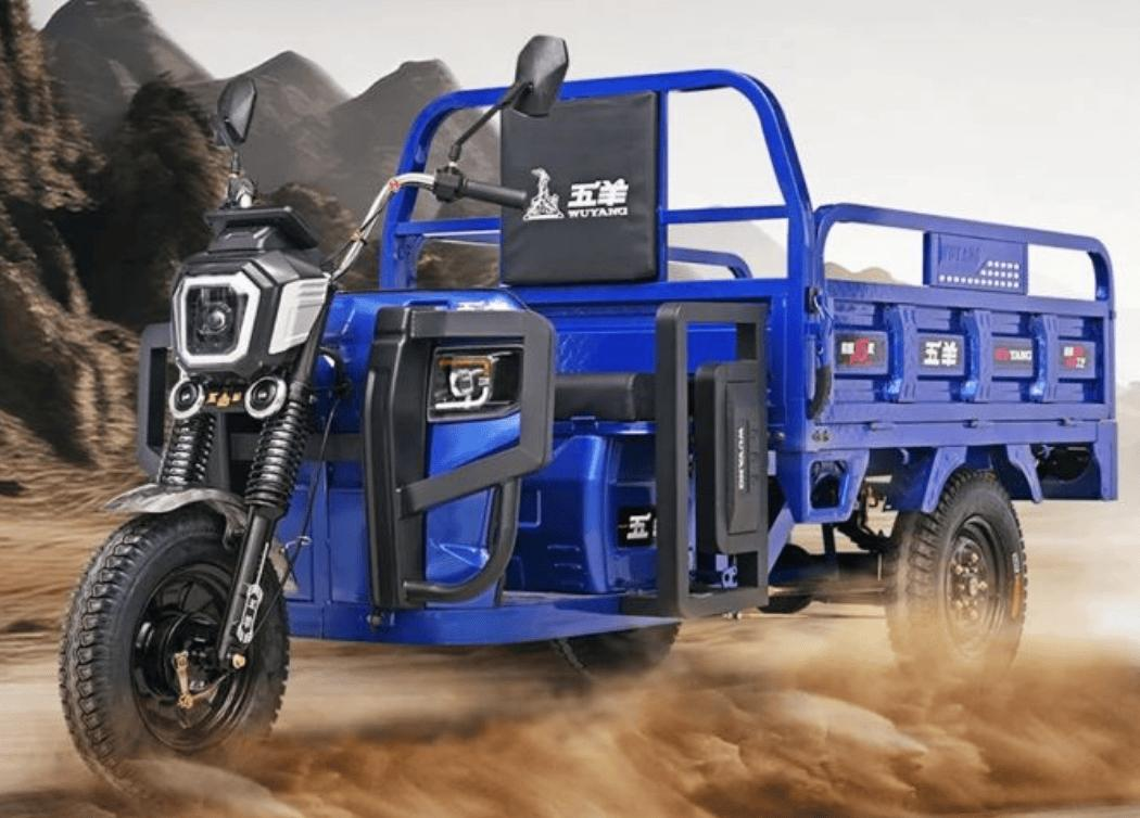 Heavy-duty electric tricycle