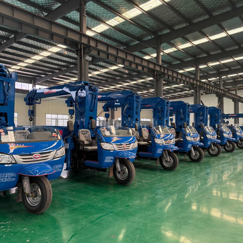 Three wheel truck mounted crane