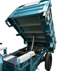 Heavy-duty electric tricycle