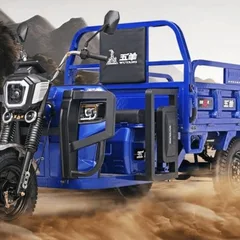 Heavy-duty electric tricycle
