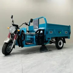Heavy-duty electric tricycle