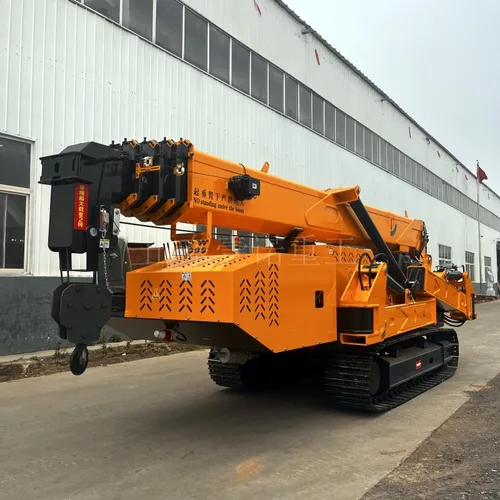 Spider crane, crawler crane