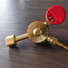 Propane Regulator
