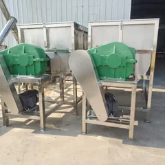 2 Ton Stainless Steel Ribbon Mixer