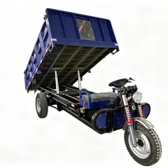 Heavy-duty electric dump tricycle