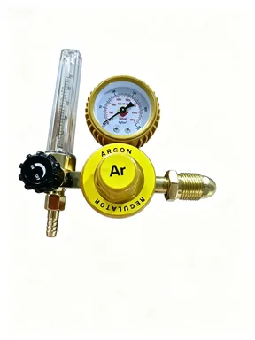 Argon Regulator with Flow Meter