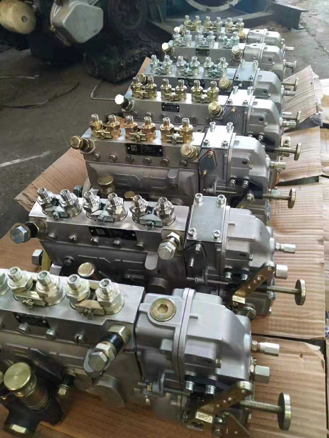 Fuel Pumps: 106067-6251, 106661-6452, 6P120, 721LS3000 for Cummins 6BT/6CT and Weichai WD615