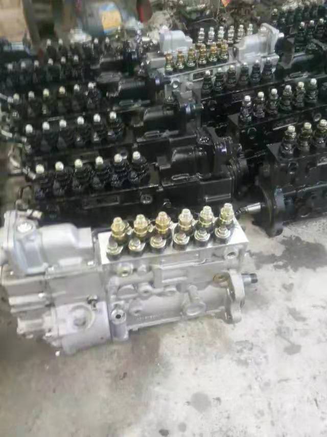 Fuel Pumps: 106067-6251, 106661-6452, 6P120, 721LS3000 for Cummins 6BT/6CT and Weichai WD615