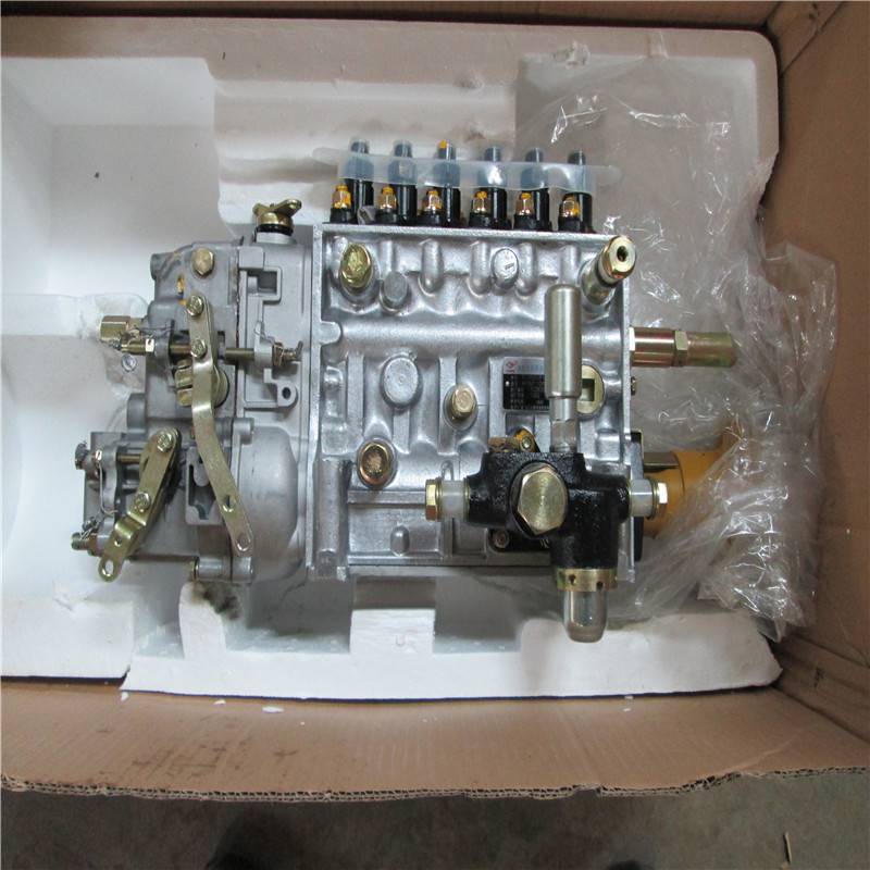 Cummins NT855-C280 Engine PT Fuel Pump 3165797 for Shantui SD22