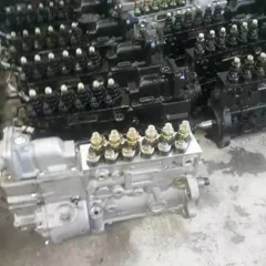 Fuel Pumps: 106067-6251, 106661-6452, 6P120, 721LS3000 for Cummins 6BT/6CT and Weichai WD615