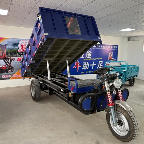 Xiangniu 5Ton Electric Dumper Tricycle, 3.2m Cargo Box for Mine & Construction