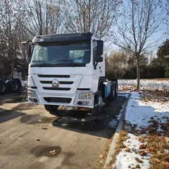 Sinotruck Howo 6x4 10-Wheel Heavy Truck 371hp Tractor Left-Hand Drive Euro 2 Diesel Rear Camera Second-Hand Used Truck for Sale