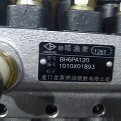 Longkou Longbeng Fuel Injection Pump BH6PA120-1261 OE 3966817 for Cummins 6CT8.3-C240 240HP Engine, Fit Liugong 50CN Loader