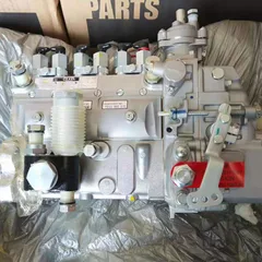 Longkou BH6PA298 Fuel Injection Pump OE 3975927 For Cummins 6CT8.3-C300 300HP Engine, Fit Liugong 50G Loader