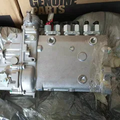 Longkou BH6PA298 Fuel Injection Pump OE 3975927 For Cummins 6CT8.3-C300 300HP Engine, Fit Liugong 50G Loader