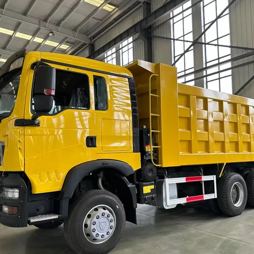 Howo TX Dump Truck
