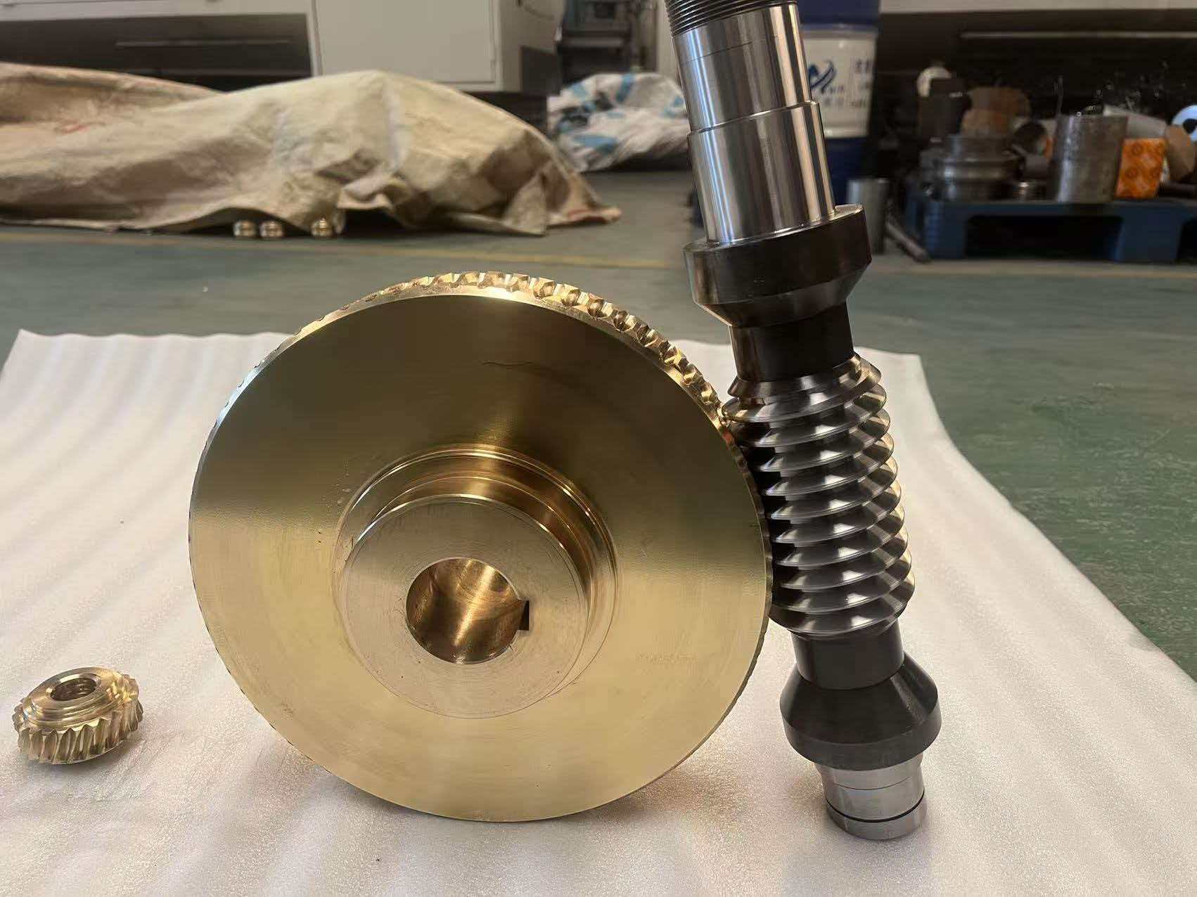 Custom Zero-Backlash Double-Lead Worm Gear for Screw Jack Spare Parts