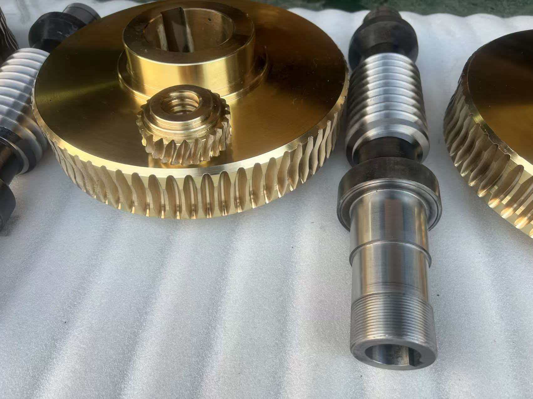 Custom Zero-Backlash Double-Lead Worm Gear for Screw Jack Spare Parts