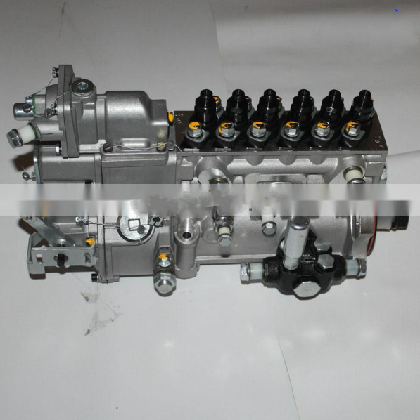 潍柴WD615/WD618/WD10发动机P7100系列6缸BHT6P120R燃油喷射泵总成
