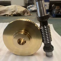 Custom Zero-Backlash Double-Lead Worm Gear for Screw Jack Spare Parts
