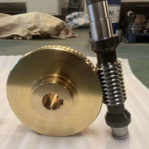 Custom Zero-Backlash Double-Lead Worm Gear for Screw Jack Spare Parts
