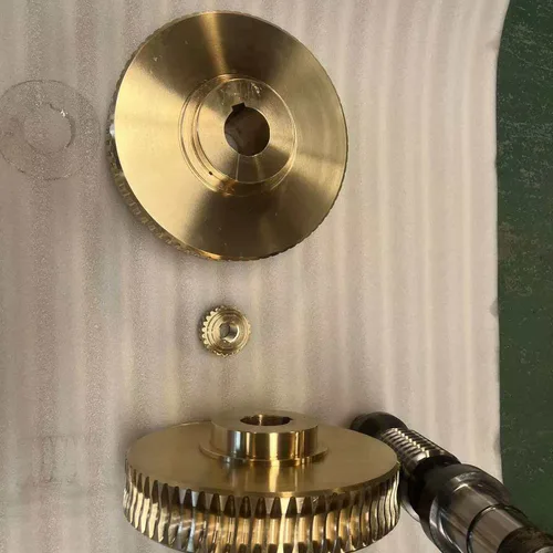 Custom Zero-Backlash Double-Lead Worm Gear for Screw Jack Spare Parts
