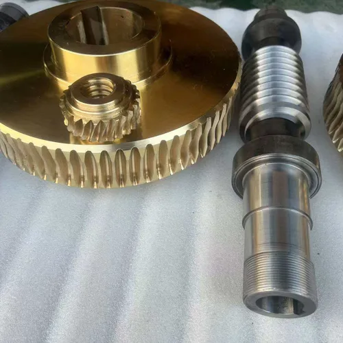 Custom Zero-Backlash Double-Lead Worm Gear for Screw Jack Spare Parts